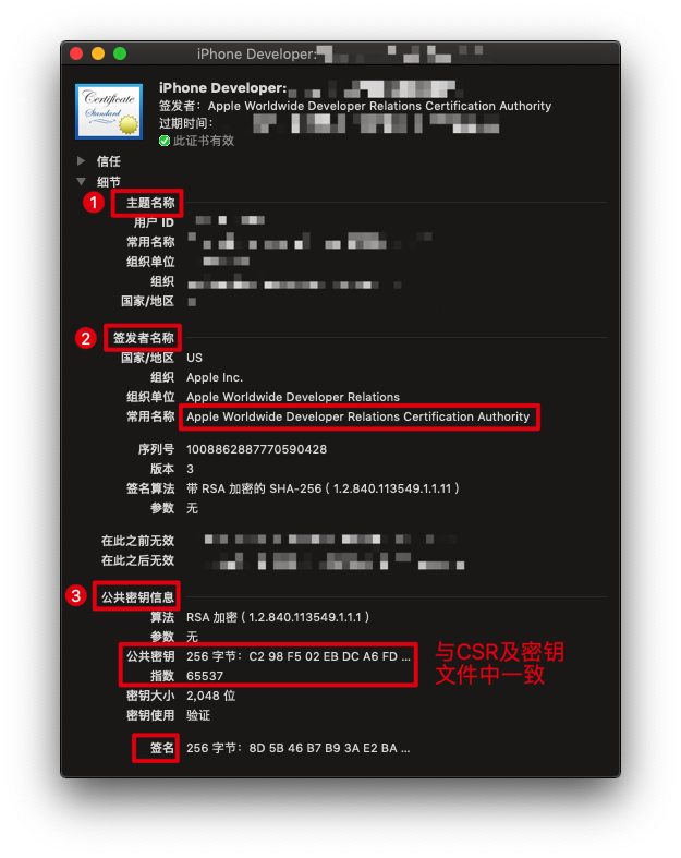 http://xelz.info/assets/2019/cert1.png