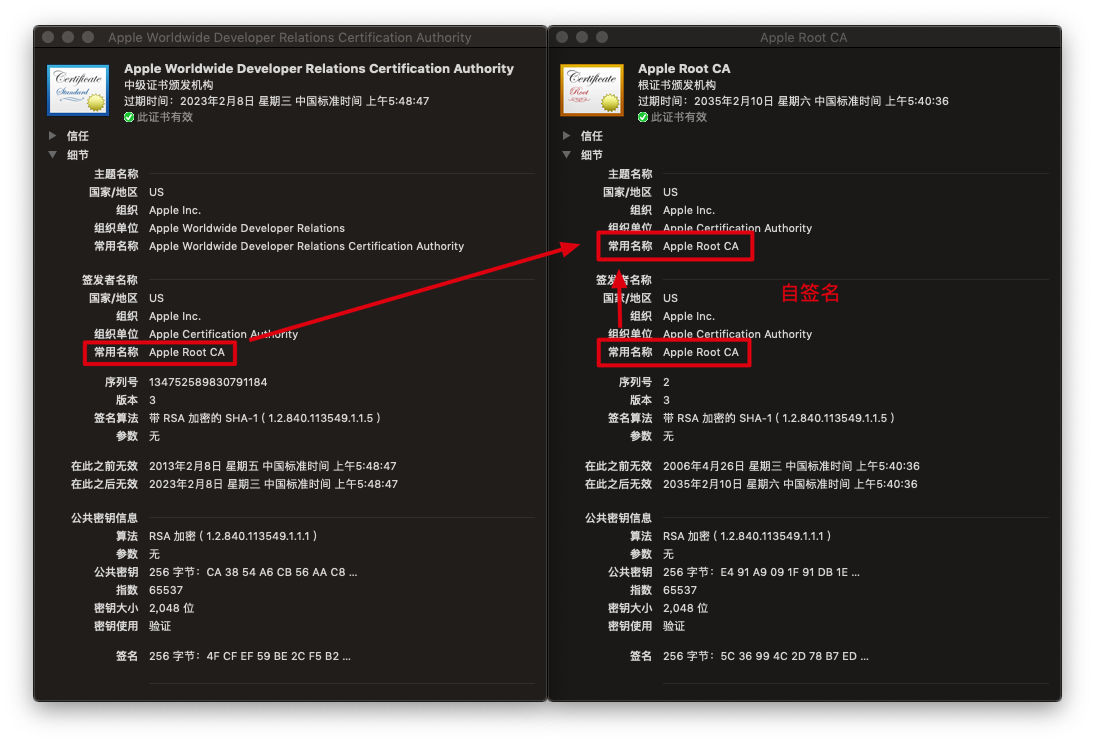 http://xelz.info/assets/2019/cert2.png